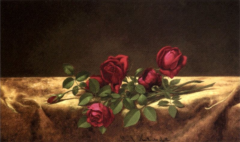 Roses Lying on Gold Velvet